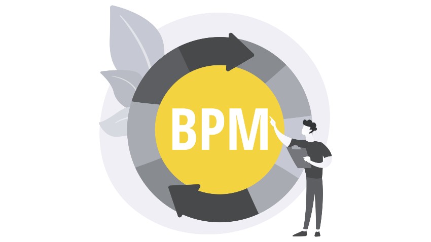 Decoding the What, Why, How, and When of BPM Platforms